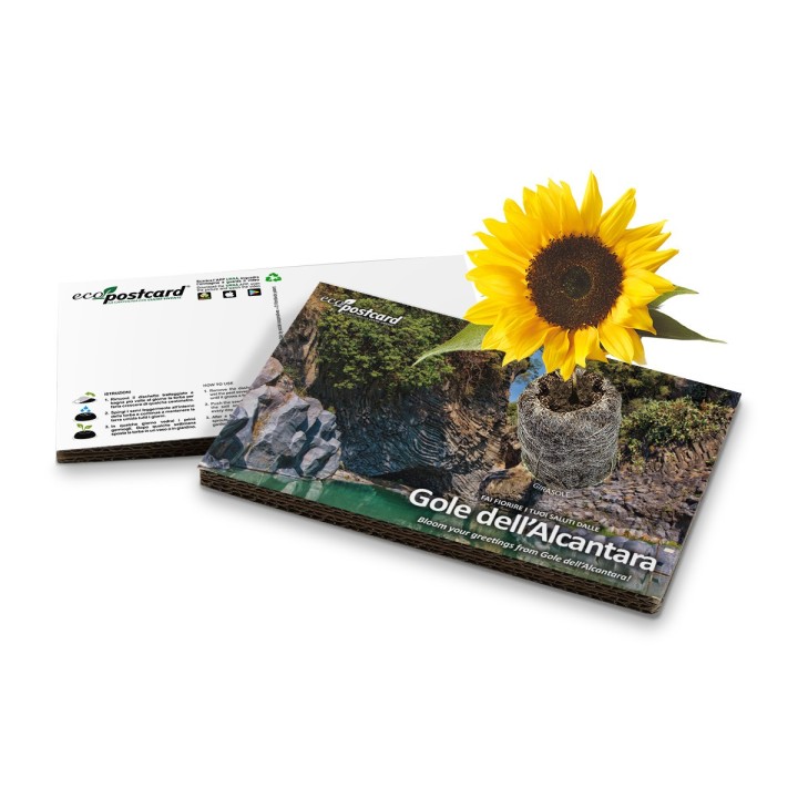 Eco-Postcard cartolina souvenir gole dell'Alcantara