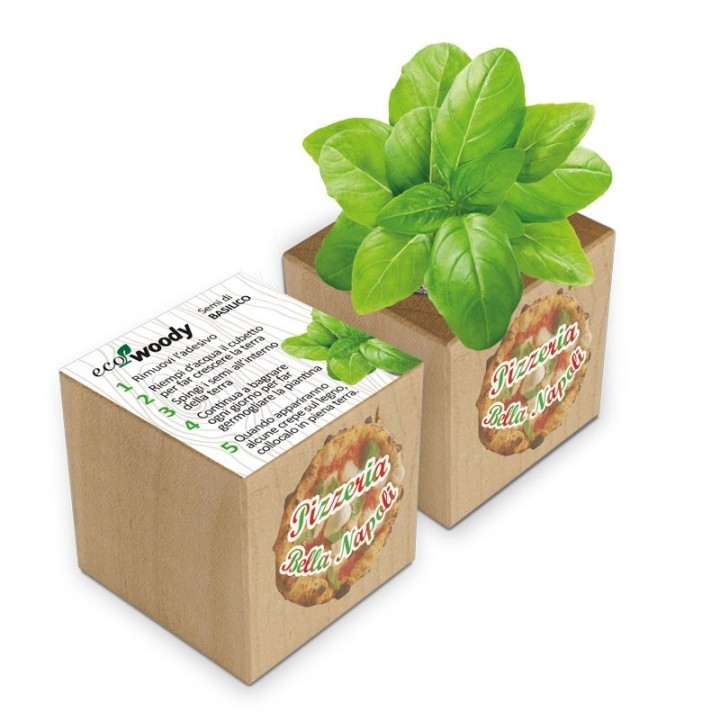 Eco-Woody - Cubo magnetico con semi personalizzato