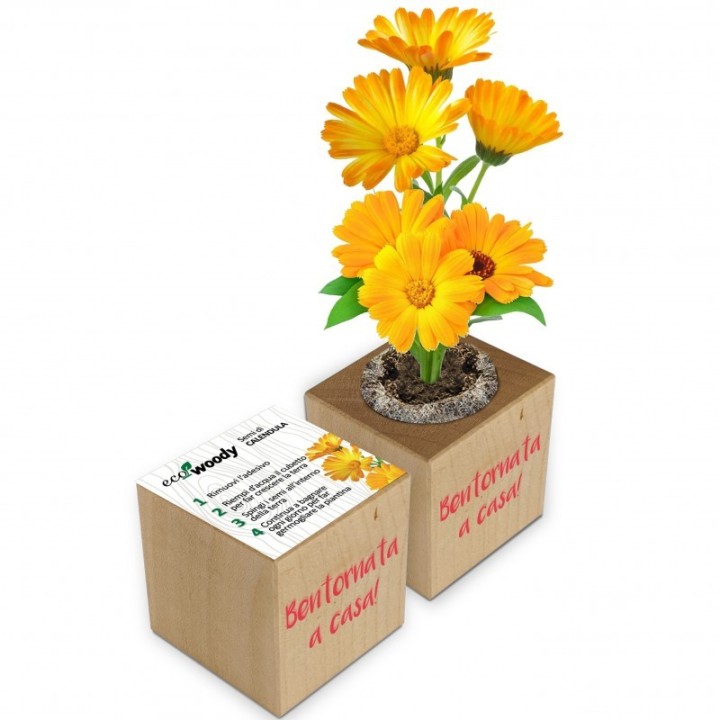 Eco-Woody - Cubo magnetico con semi personalizzato