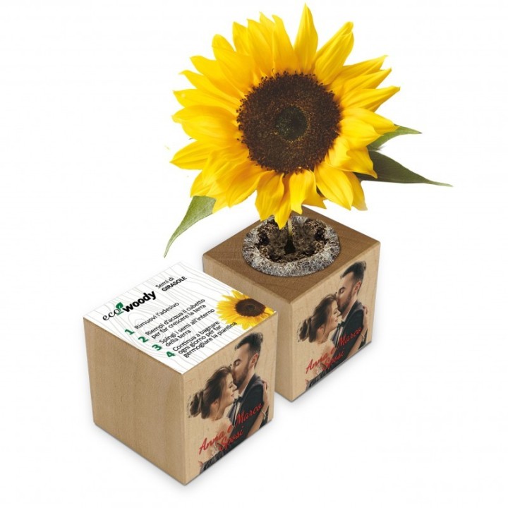 Eco-Woody - Cubo magnetico con semi personalizzato