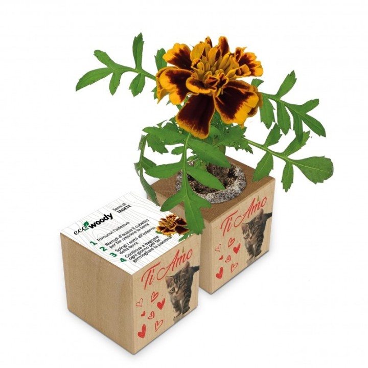 Eco-Woody - Cubo magnetico con semi personalizzato