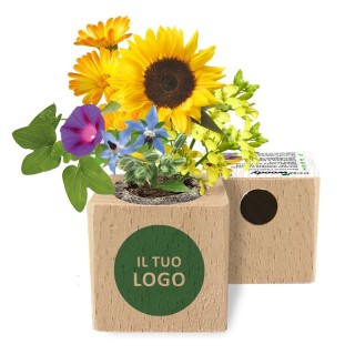 Eco-Woody - Cubo magnetico con semi personalizzato
