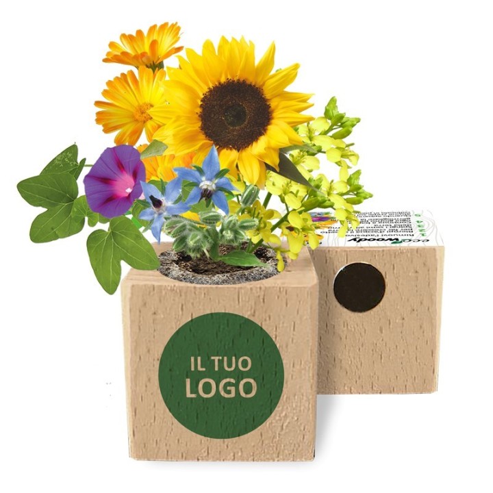 Eco-Woody - Cubo magnetico con semi personalizzato