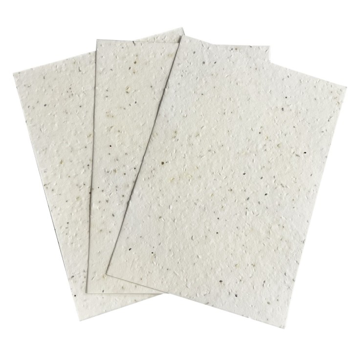 Eco-Card fogli carta piantabile A5/A4/A3 neutra semi melliferi per le api