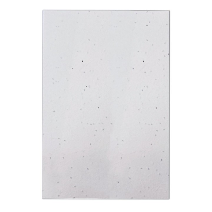Eco-Card fogli carta piantabile neutra - semi di Lavanda