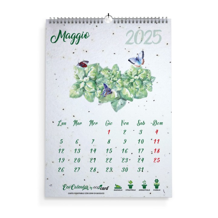 Calendario da muro piantabile A4 Eco Wall Calendar 2025