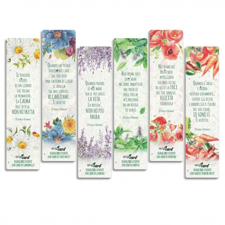 Espositore Segnalibri