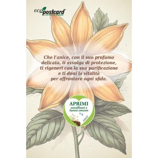 EcoPostcard con frase e dedica con semi di Amaranto