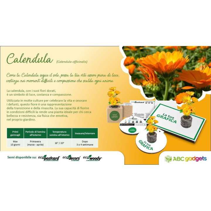 EcoPostcard con frase e dedica con semi di Calendula
