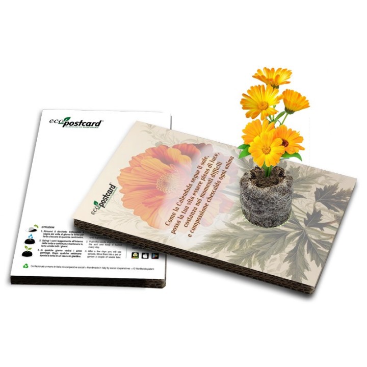EcoPostcard con frase e dedica con semi di Calendula