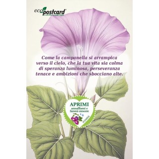 EcoPostcard con frase e dedica con semi di Campanella