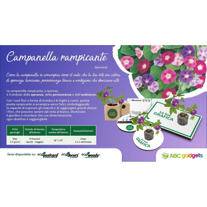 EcoPostcard con frase e dedica con semi di Campanella