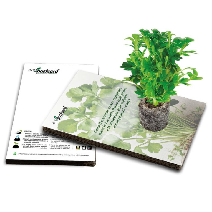 EcoPostcard con frase e dedica con semi di Crescione