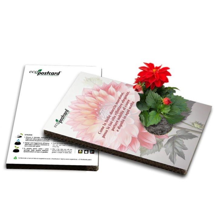 EcoPostcard con frase e dedica con semi di Dalia