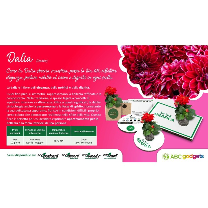 EcoPostcard con frase e dedica con semi di Dalia