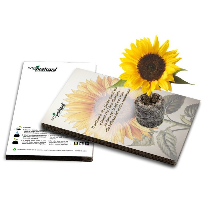 EcoPostcard con frase e dedica con semi di Girasole