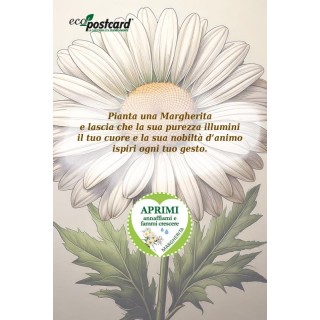 EcoPostcard con frase e dedica con semi di Margherita