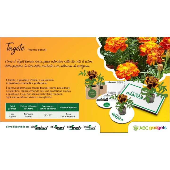 EcoPostcard con frase e dedica con semi di Tagete