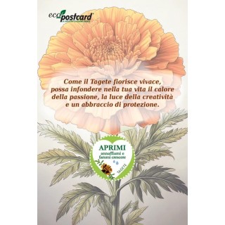 EcoPostcard con frase e dedica con semi di Tagete