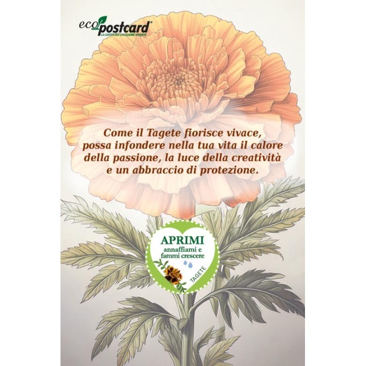 EcoPostcard con frase e dedica con semi di Tagete