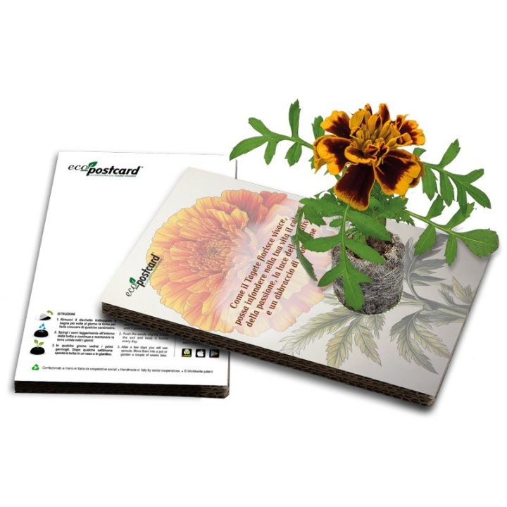 EcoPostcard con frase e dedica con semi di Tagete