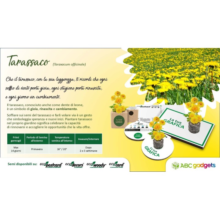 EcoPostcard con frase e dedica con semi di Tarassaco