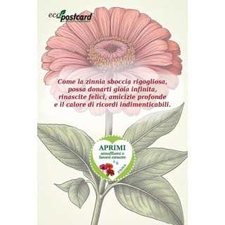 EcoPostcard con frase e dedica con semi di Zinnia