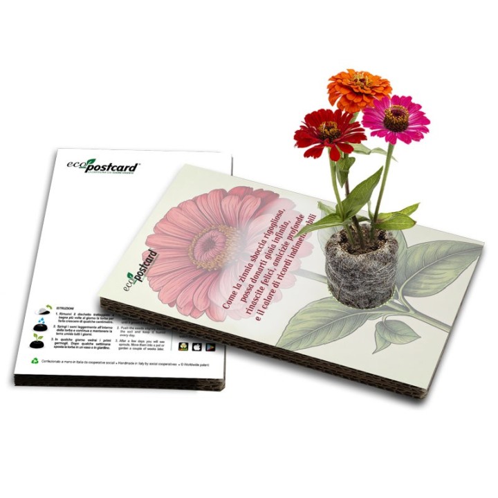 EcoPostcard con frase e dedica con semi di Zinnia