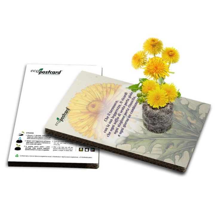 EcoPostcard con frase e dedica con semi di Tarassaco