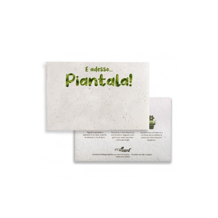E ADESSO PIANTALA! cartolina biodegradabile piantabile firi misti
