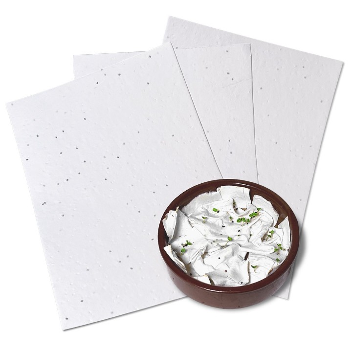 Eco-Card fogli carta piantabile neutra - semi di basilico