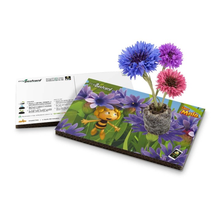 EcoPostcard L’APE MAIA Fiordaliso SOS Maia tra i petali blu