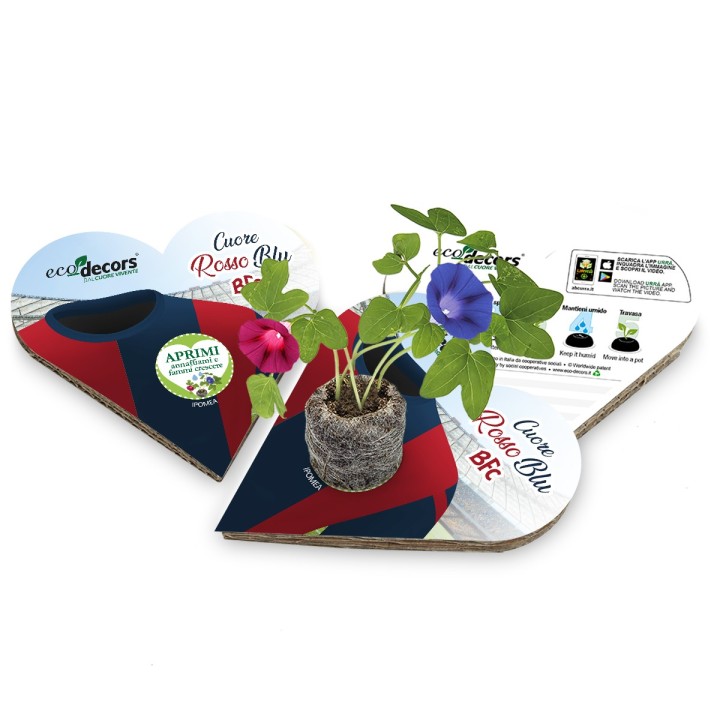 Eco-Decors Bologna campioni Coppa Italia 2025