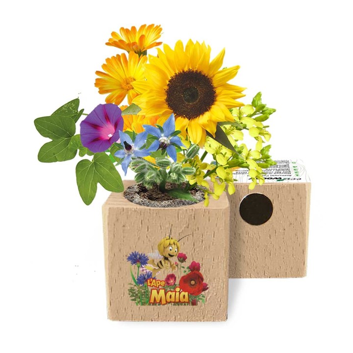 Eco-Woody L'Ape Maia vola tra i fiori gioia e colori
