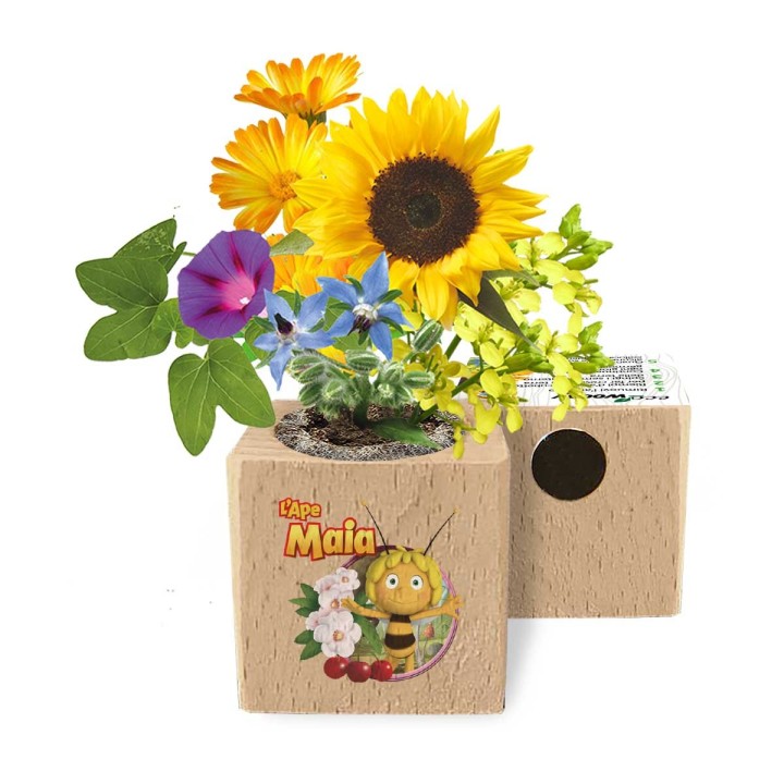 Eco cubo in legno calamitato con semi di fiori melliferi e illustrazione de L'Ape Maia