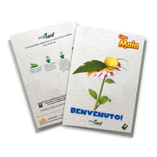 Biglietto di auguri di nascita per bambino, in carta piantabile con disegno di Willy amico de L'Ape Maia e video in realtà aumen