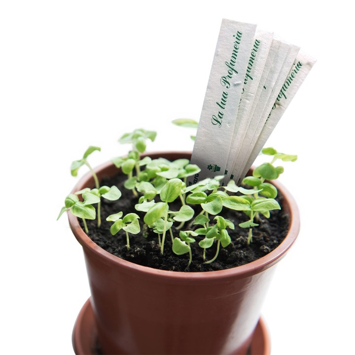 Cartoncini Eco-Card Profumati con Semi Personalizzati