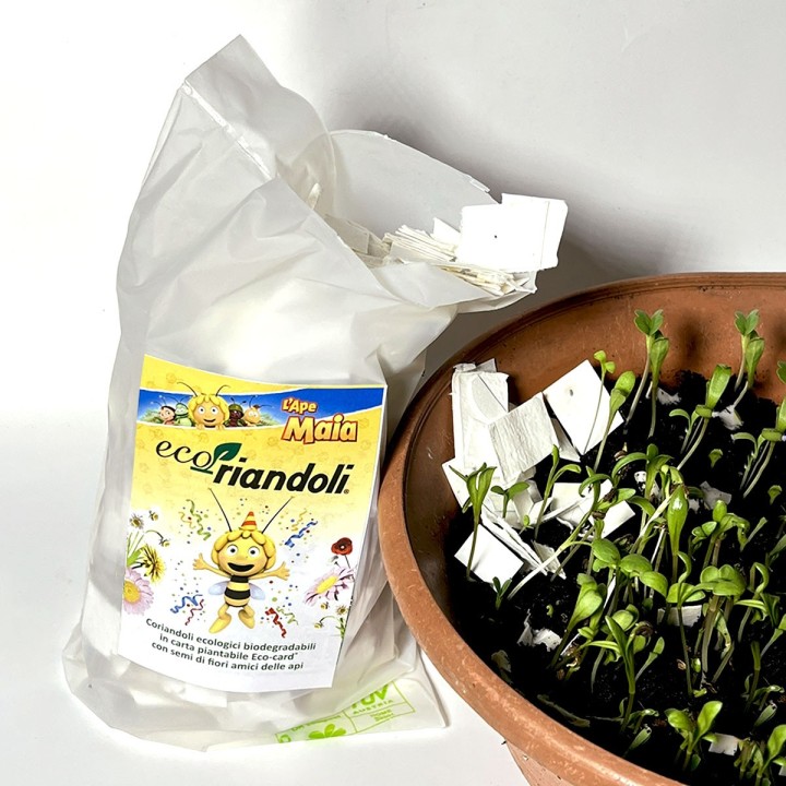 ECORIANDOLI L'APE MAIA coriandoli ecologici e sostenibili in carta con semi di fiori per le api
