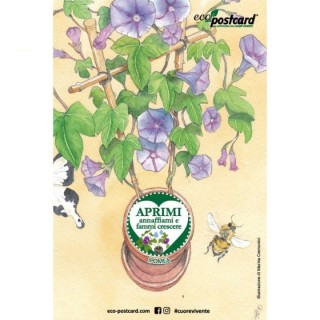 Eco-Postcard cartolina illustrazione ad acquerello - Ipomea