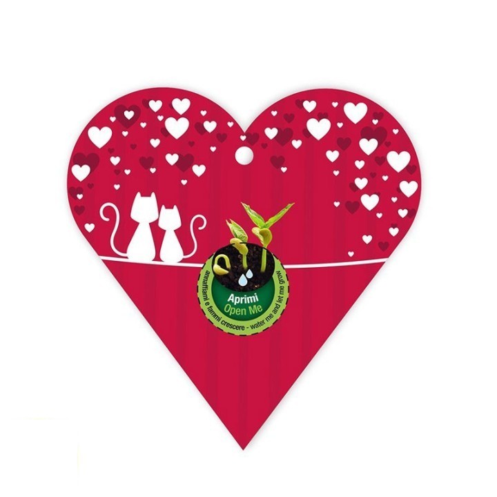 Eco-Decors Biglietto d’auguri Gatti