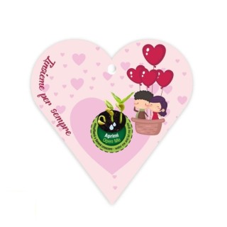 Eco-Decors Biglietto d’auguri ecologico Innamorati – Ipomea