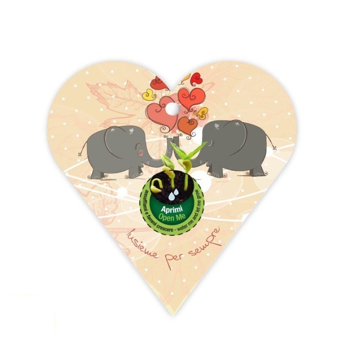 Eco-Decors Biglietto d’auguri ecologico Elefanti – Ipomea