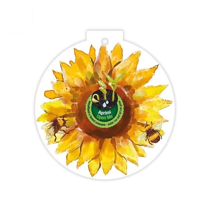 Eco-Decors Pallina ecologica Primavera girasole – Girasole