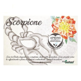 Eco-Postcard zodiaco Scorpione - dalia