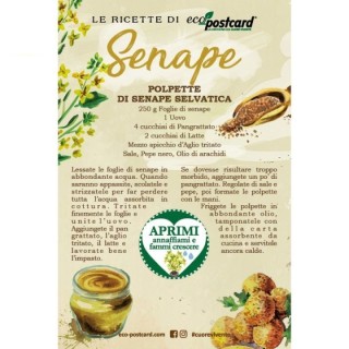 Eco-Postcard con ricetta polpette di senape selvatica