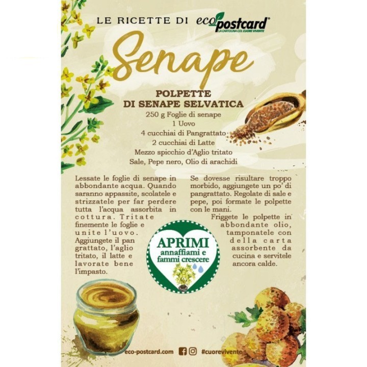 Eco-Postcard con ricetta polpette di senape selvatica