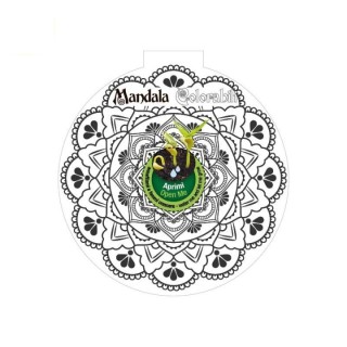 Eco-Decors decorazione ecologica mandala da colorare, con semi di ipomea