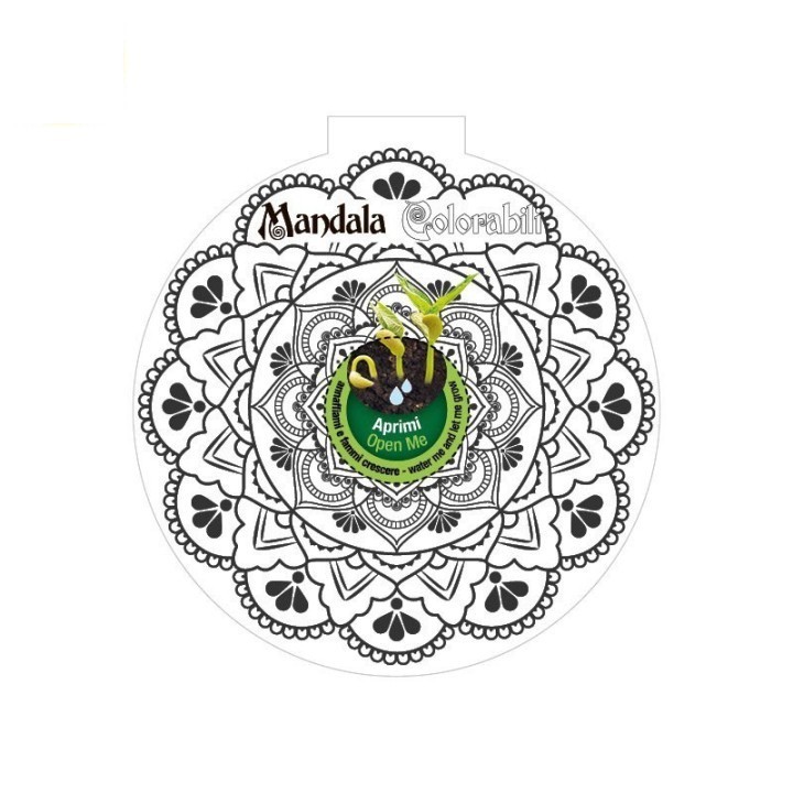 Eco-Decors decorazione ecologica mandala da colorare, con semi di ipomea