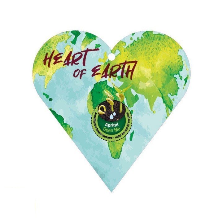 Eco-Decors decorazione ecologica mandala da colorare, con semi di ipomea