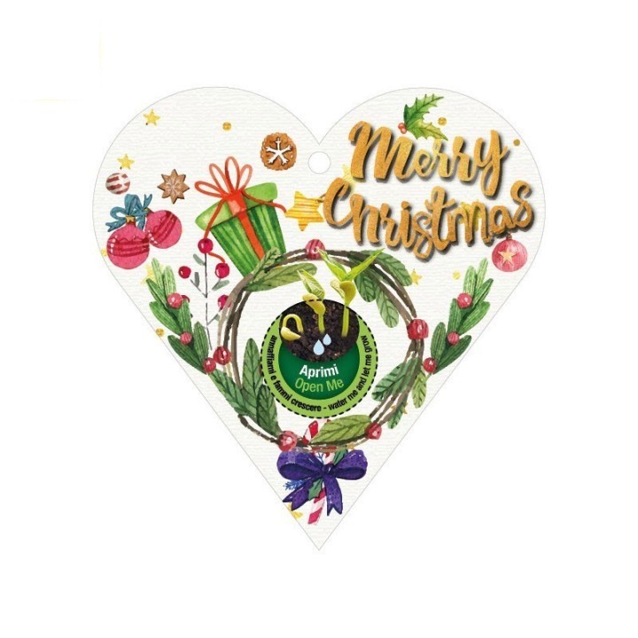 Eco-Decors decorazione ecologica Heart of earth, con semi di ipomea